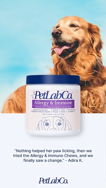 This creative showcases a dog allergy supplement bottle positioned against a high-contrast blue background with a customer testimonial below.
